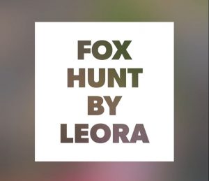 Fox Hunt by LeOra